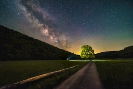 星与树