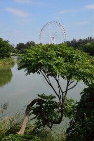 公园风景 