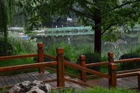 公园风景
