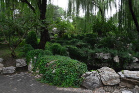 公园风景