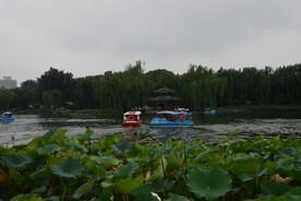 公园风景