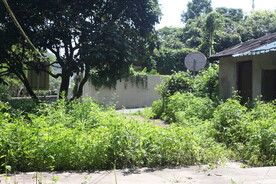 坪山湿地公园
