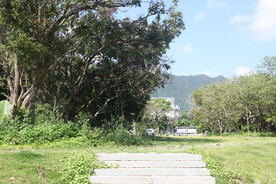 坪山湿地公园