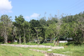 坪山湿地公园