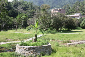 坪山湿地公园