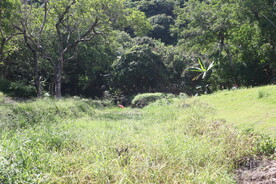 坪山湿地公园