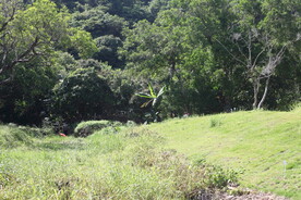 坪山湿地公园