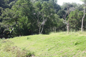 坪山湿地公园
