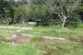 坪山湿地公园
