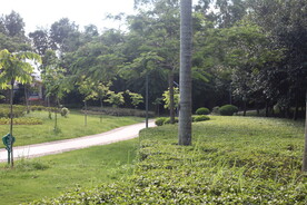 坪山湿地公园
