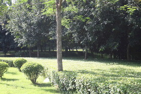 坪山湿地公园