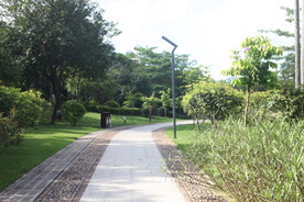 坪山湿地公园