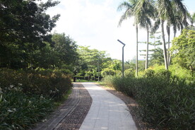 坪山湿地公园