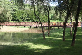 坪山湿地公园