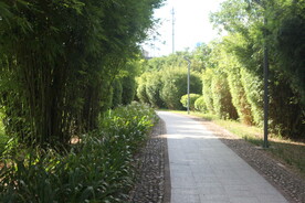 坪山湿地公园