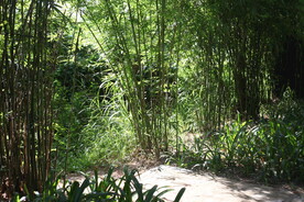坪山湿地公园