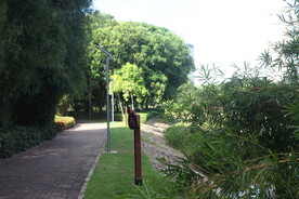 坪山湿地公园
