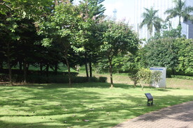 坪山湿地公园