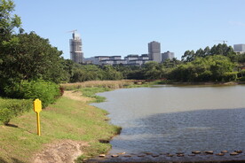 坪山湿地公园