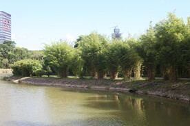 坪山湿地公园