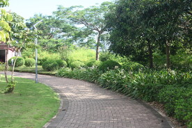 坪山湿地公园