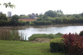 坪山湿地公园