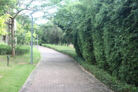 坪山湿地公园