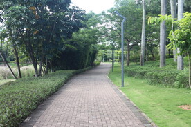 坪山湿地公园