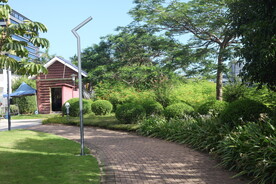 坪山湿地公园