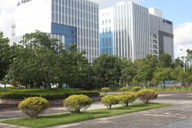 坪山湿地公园