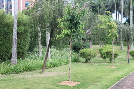 坪山湿地公园