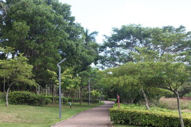 坪山湿地公园