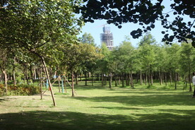 坪山湿地公园