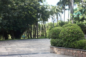 坪山湿地公园