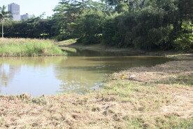 坪山湿地公园