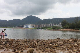深圳坝光