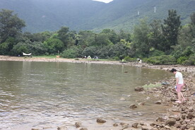 深圳坝光
