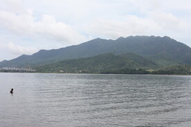 深圳坝光