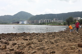 深圳坝光