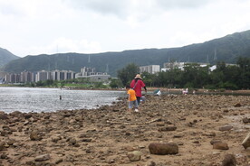 深圳坝光