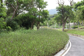 深圳坝光