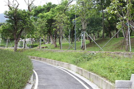 深圳坝光