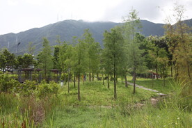 深圳坝光