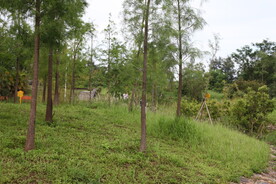 深圳坝光