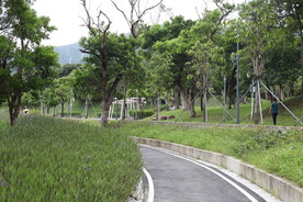 深圳坝光