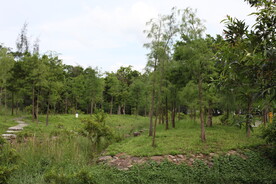 深圳坝光