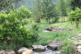 深圳坝光