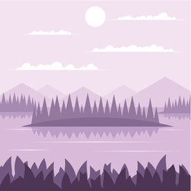 湿地风景
