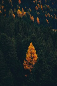 风景图片