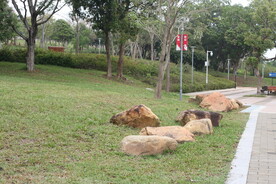 深圳坪河公园